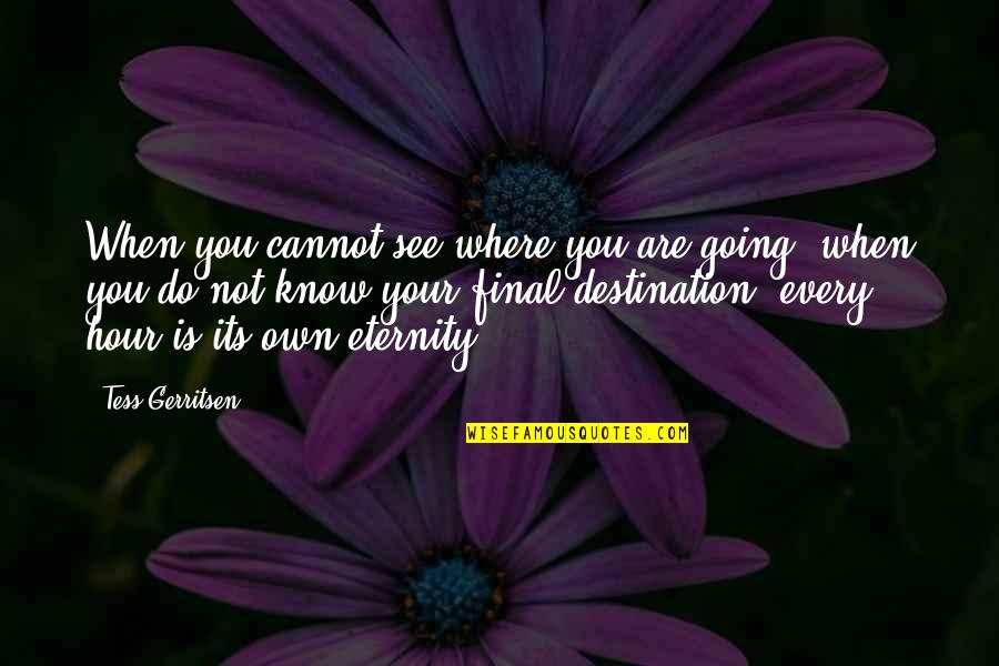 Frodo Lord Of The Rings Quotes By Tess Gerritsen: When you cannot see where you are going,