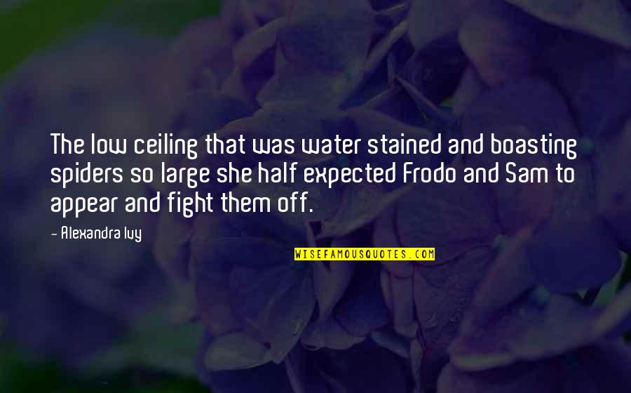 Frodo's Quotes By Alexandra Ivy: The low ceiling that was water stained and