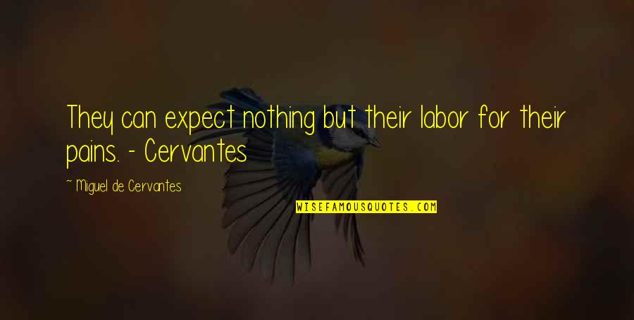 Froebel Academy Quotes By Miguel De Cervantes: They can expect nothing but their labor for
