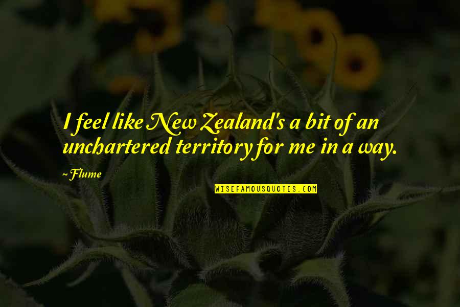 Froebel Learning Center Quotes By Flume: I feel like New Zealand's a bit of