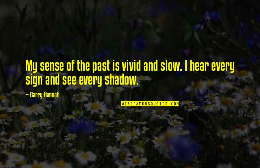 Froehlichs Farm Quotes By Barry Hannah: My sense of the past is vivid and