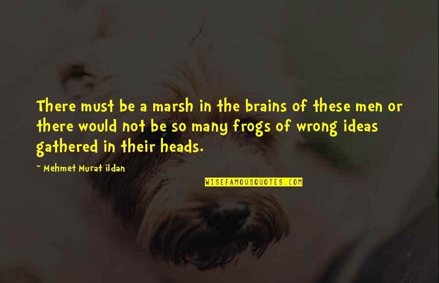 Frogs Quotes By Mehmet Murat Ildan: There must be a marsh in the brains