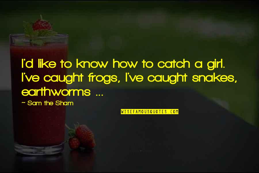 Frogs Quotes By Sam The Sham: I'd like to know how to catch a