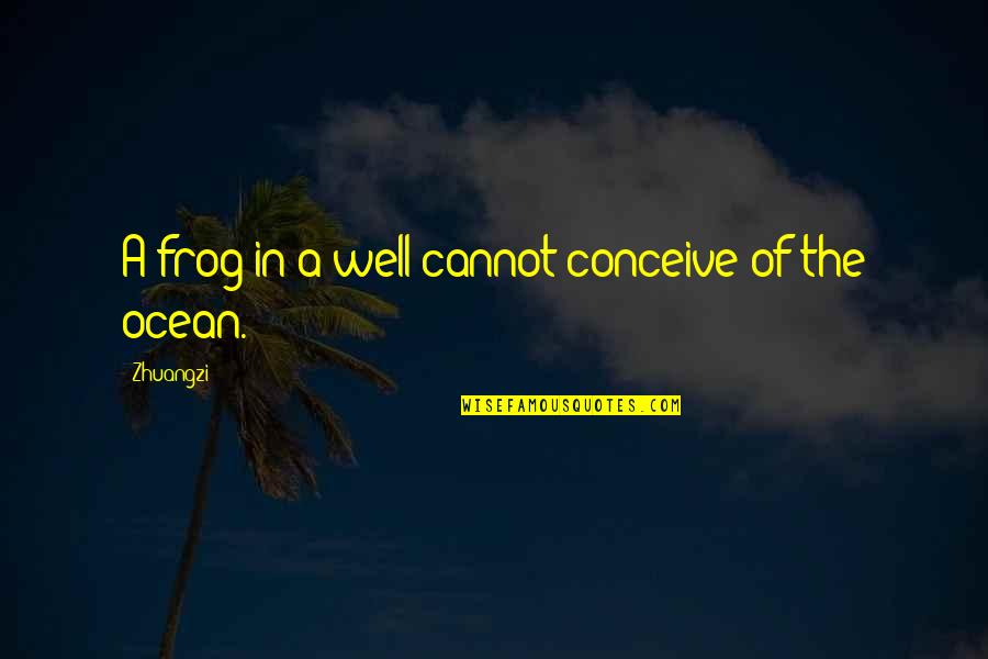 Frogs Quotes By Zhuangzi: A frog in a well cannot conceive of