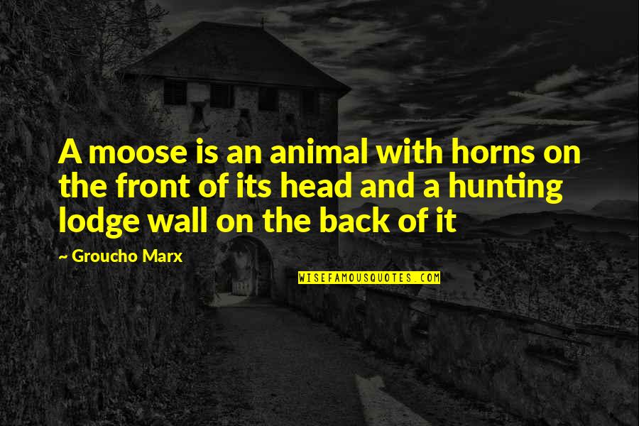 Frohn Township Quotes By Groucho Marx: A moose is an animal with horns on Frohn Township Quotes By Groucho Marx: A moose is an animal with horns on