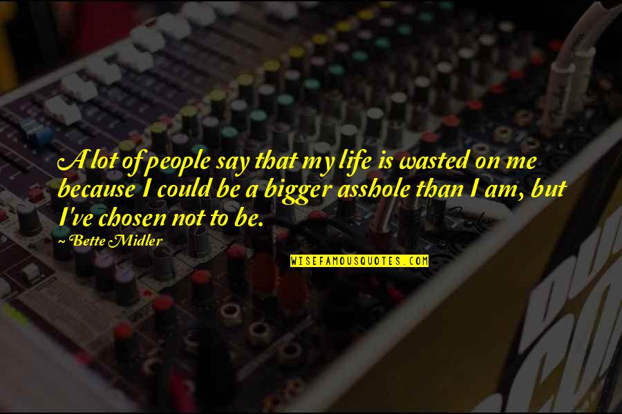 Froidefontaine Quotes By Bette Midler: A lot of people say that my life