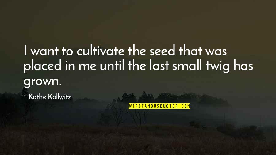 From A Small Seed Quotes By Kathe Kollwitz: I want to cultivate the seed that was