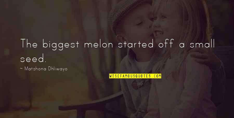 From A Small Seed Quotes By Matshona Dhliwayo: The biggest melon started off a small seed.
