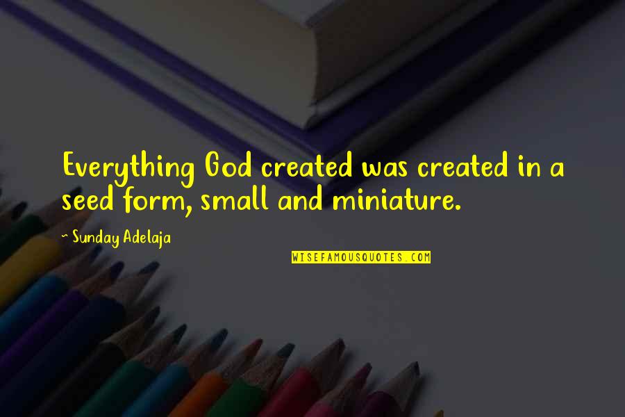 From A Small Seed Quotes By Sunday Adelaja: Everything God created was created in a seed
