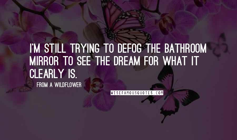 From A Wildflower quotes: I'm still trying to defog the bathroom mirror to see the dream for what it clearly is.