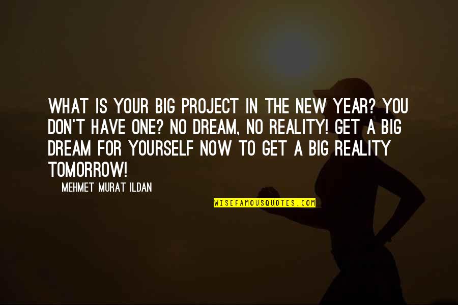 From Dream To Reality Quote Quotes By Mehmet Murat Ildan: What is your big project in the New