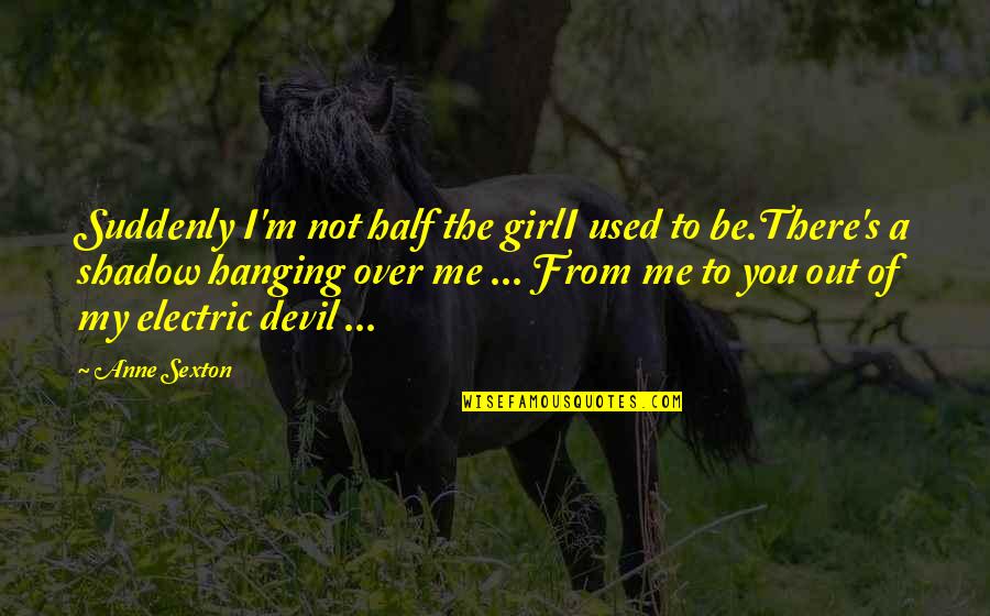 From Me To You Quotes By Anne Sexton: Suddenly I'm not half the girlI used to