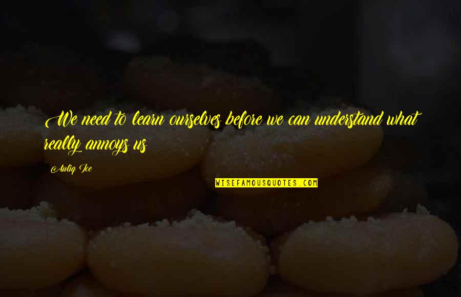 From Mistakes We Learn Quotes By Auliq Ice: We need to learn ourselves before we can