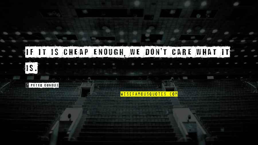 From Now On I Dont Care Quotes By Peter Cundill: If it is cheap enough, we don't care
