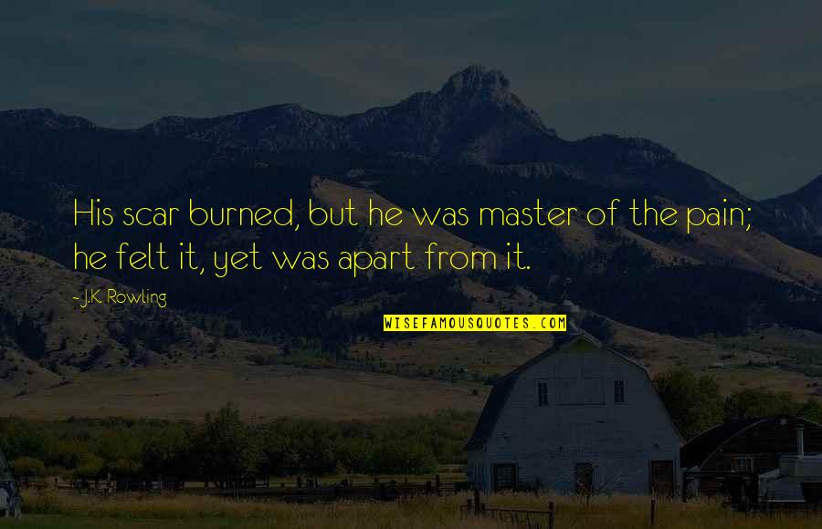 From Pain Quotes By J.K. Rowling: His scar burned, but he was master of