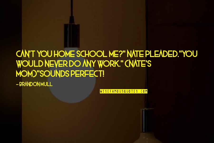 From School To Work Quotes By Brandon Mull: Can't you home school me?" Nate pleaded."You would
