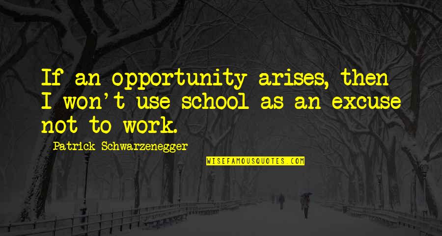 From School To Work Quotes By Patrick Schwarzenegger: If an opportunity arises, then I won't use