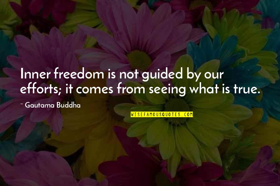 From Seeing Quotes By Gautama Buddha: Inner freedom is not guided by our efforts;