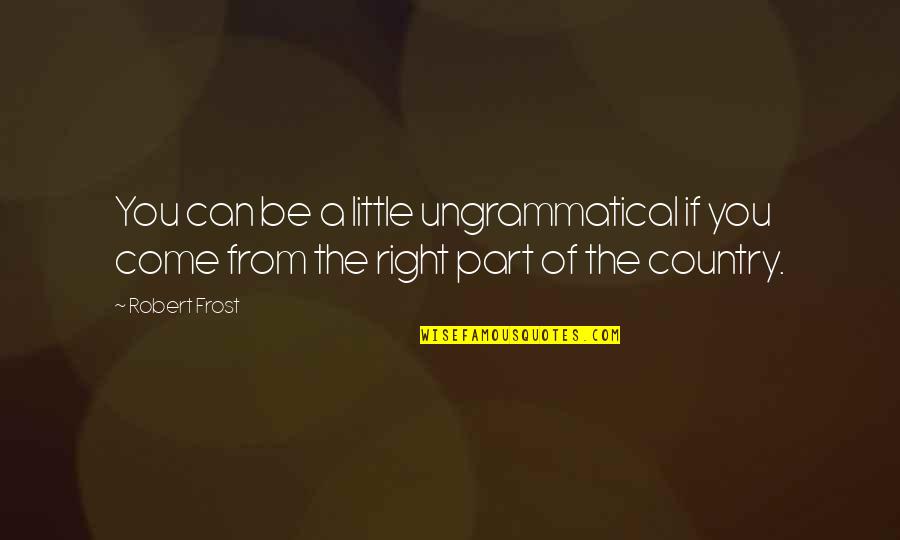 From The Country Quotes By Robert Frost: You can be a little ungrammatical if you