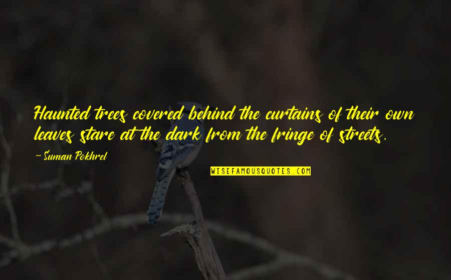 From The Dark Quotes By Suman Pokhrel: Haunted trees covered behind the curtains of their