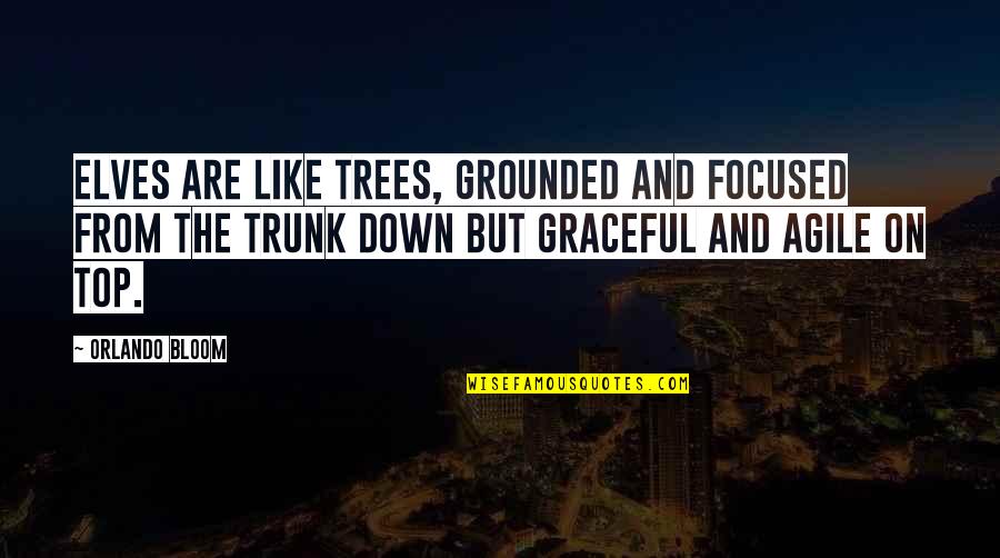 From The Top Quotes By Orlando Bloom: Elves are like trees, grounded and focused from