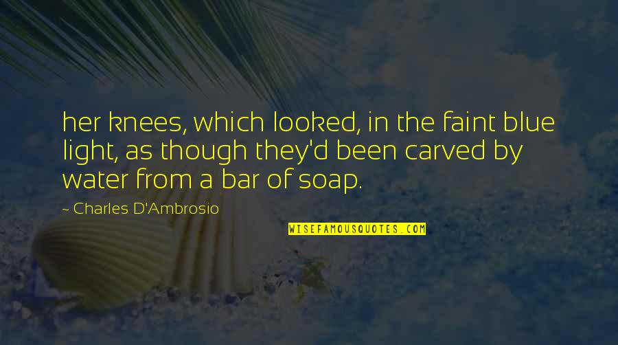 From The Water Quotes By Charles D'Ambrosio: her knees, which looked, in the faint blue