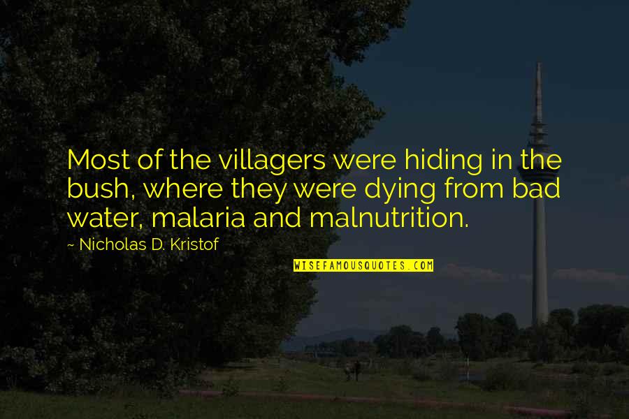 From The Water Quotes By Nicholas D. Kristof: Most of the villagers were hiding in the