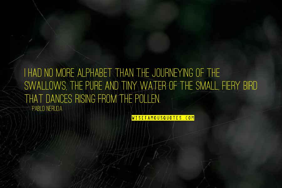 From The Water Quotes By Pablo Neruda: I had no more alphabet than the journeying
