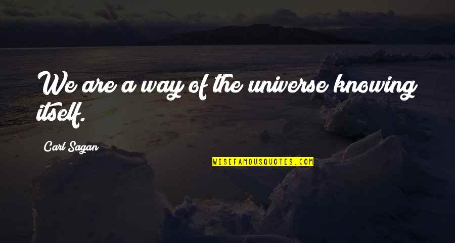 Fromcorrespondencewdfw Quotes By Carl Sagan: We are a way of the universe knowing Fromcorrespondencewdfw Quotes By Carl Sagan: We are a way of the universe knowing