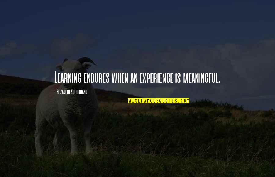 Fromental Halevy Quotes By Elizabeth Sutherland: Learning endures when an experience is meaningful. Fromental Halevy Quotes By Elizabeth Sutherland: Learning endures when an experience is meaningful.