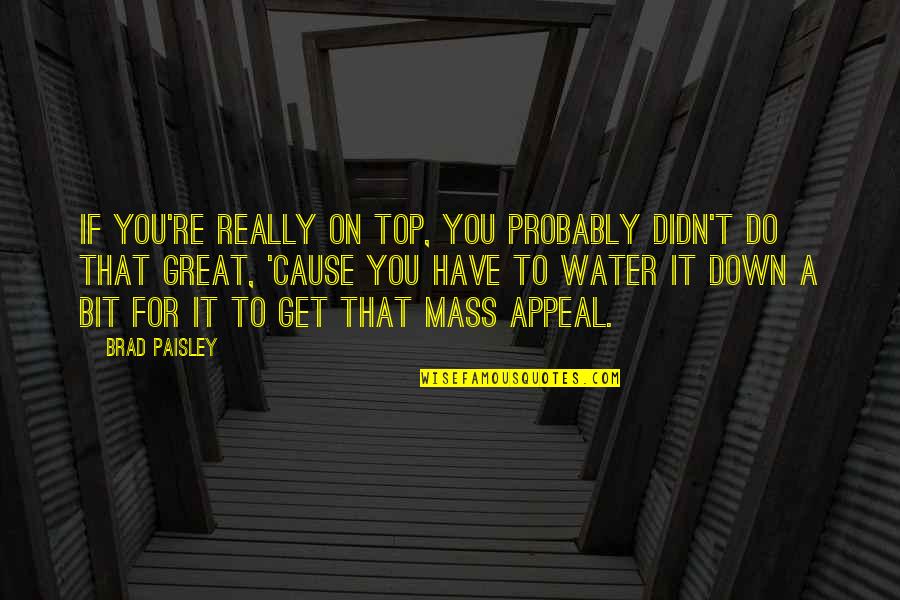 Fronheiser Bally Pa Quotes By Brad Paisley: If you're really on top, you probably didn't