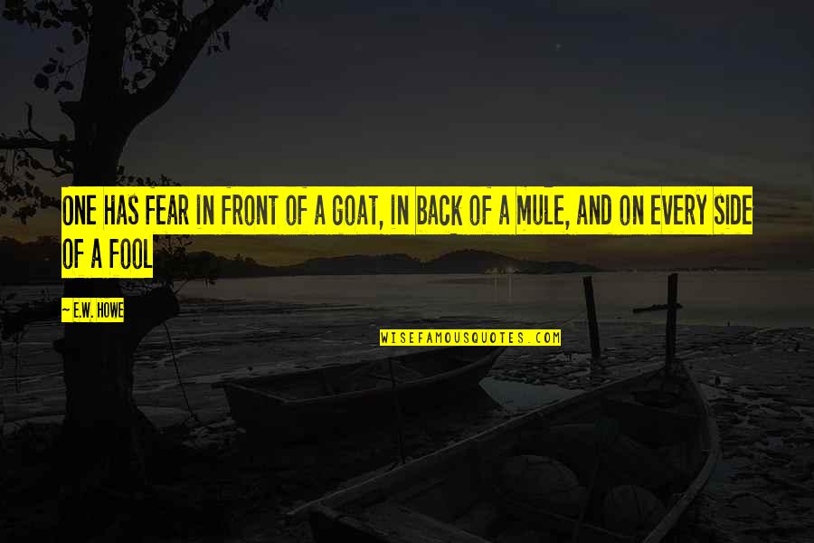 Front And Back Quotes By E.W. Howe: One has fear in front of a goat,