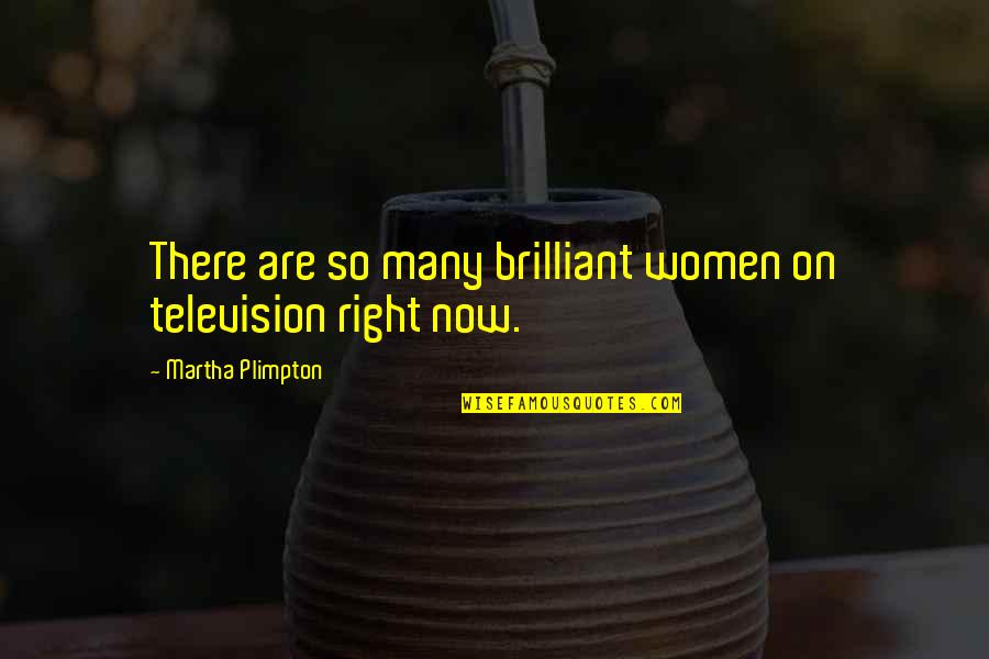 Frontella Rentals Quotes By Martha Plimpton: There are so many brilliant women on television