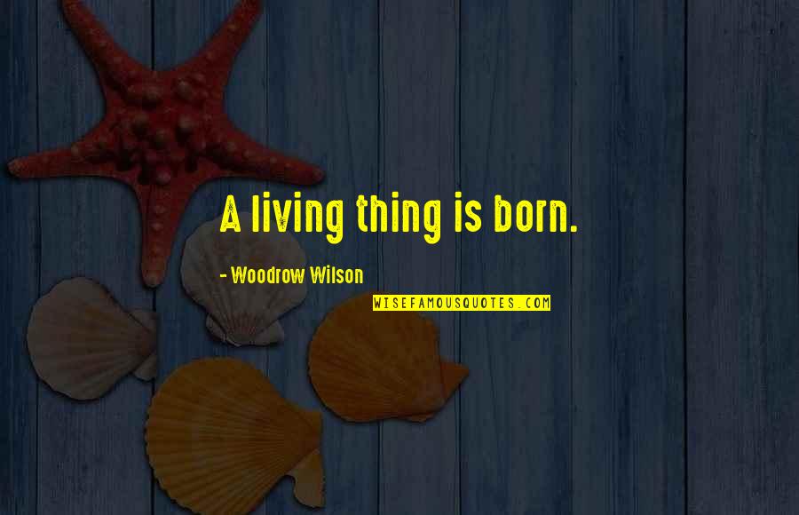Frosch International Travel Quotes By Woodrow Wilson: A living thing is born.