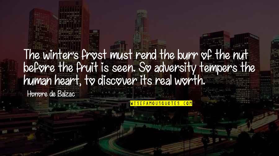 Frost Winter Quotes By Honore De Balzac: The winter's frost must rend the burr of Frost Winter Quotes By Honore De Balzac: The winter's frost must rend the burr of