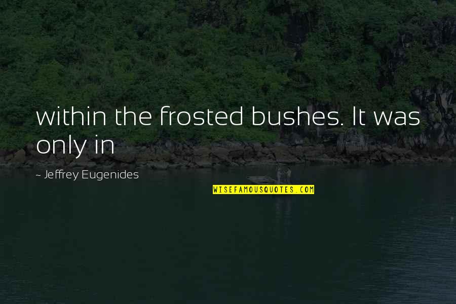 Frosted Quotes By Jeffrey Eugenides: within the frosted bushes. It was only in