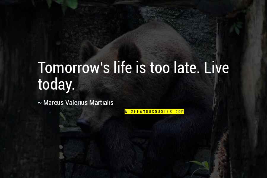 Frostiest Mauve Quotes By Marcus Valerius Martialis: Tomorrow's life is too late. Live today.