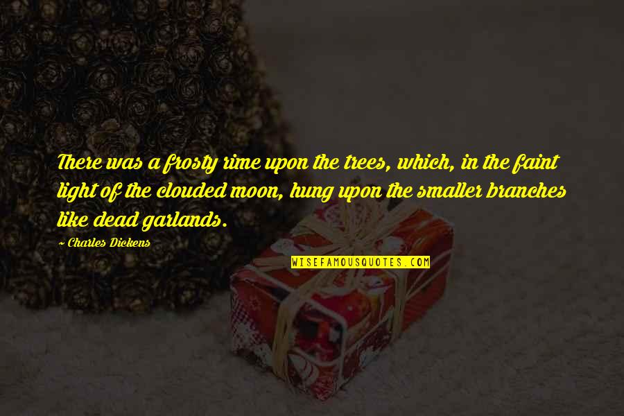 Frosty Quotes By Charles Dickens: There was a frosty rime upon the trees,