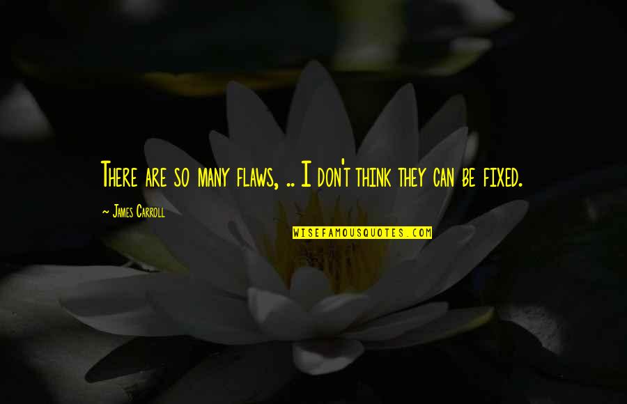 Frother Wand Quotes By James Carroll: There are so many flaws, .. I don't Frother Wand Quotes By James Carroll: There are so many flaws, .. I don't