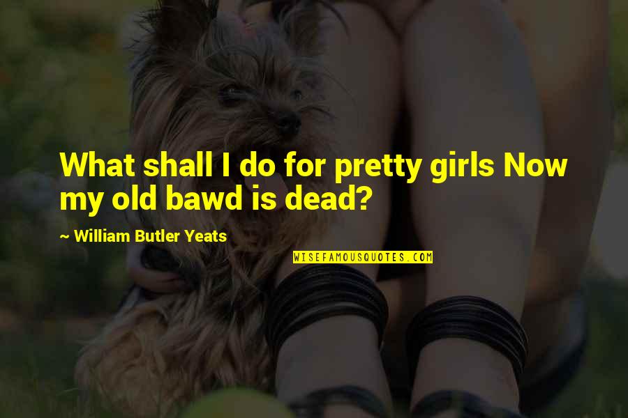 Frothy Quotes By William Butler Yeats: What shall I do for pretty girls Now