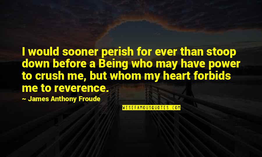 Froude Quotes By James Anthony Froude: I would sooner perish for ever than stoop