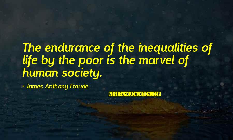 Froude Quotes By James Anthony Froude: The endurance of the inequalities of life by