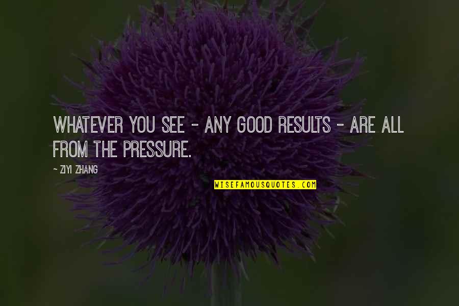 Frouke De Quillettes Quotes By Ziyi Zhang: Whatever you see - any good results -