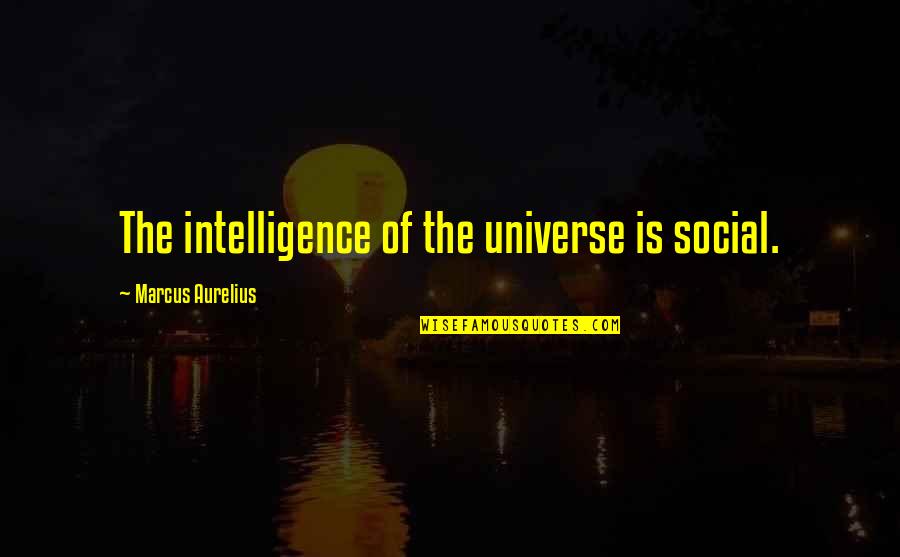 Frown Short Quotes By Marcus Aurelius: The intelligence of the universe is social. Frown Short Quotes By Marcus Aurelius: The intelligence of the universe is social.
