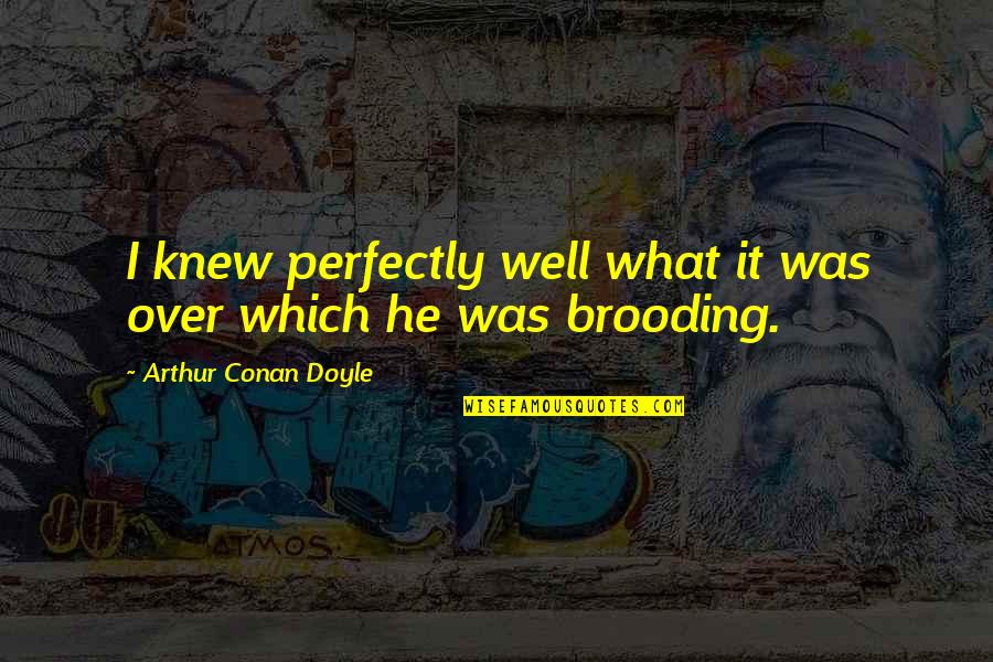 Frowning Fish Quotes By Arthur Conan Doyle: I knew perfectly well what it was over