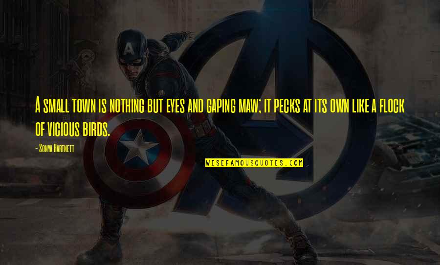 Froylan Turcios Quotes By Sonya Hartnett: A small town is nothing but eyes and