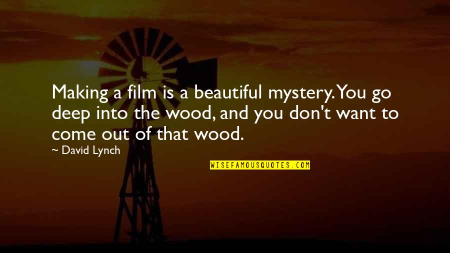 Frozen Lakes Quotes By David Lynch: Making a film is a beautiful mystery. You