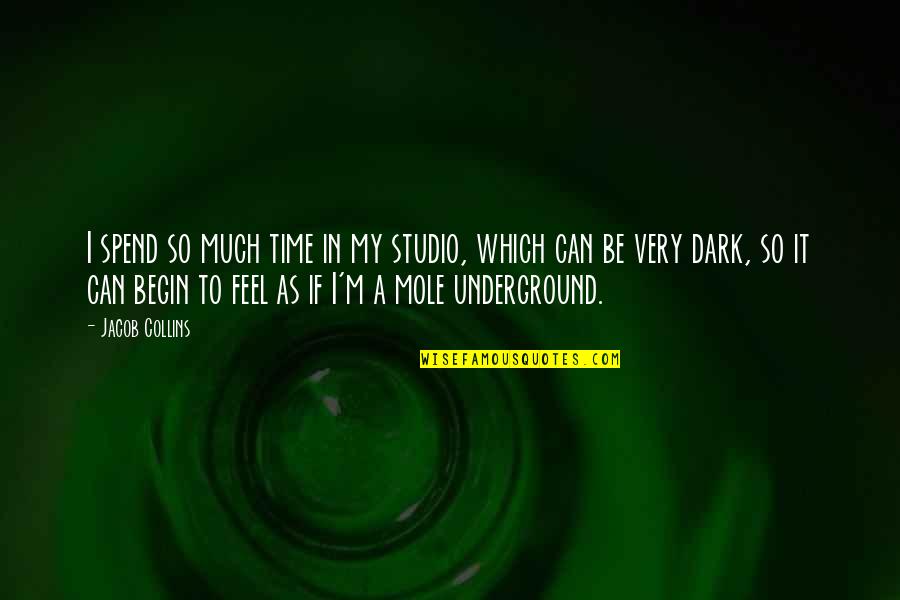 Frozen Snow Quotes By Jacob Collins: I spend so much time in my studio,