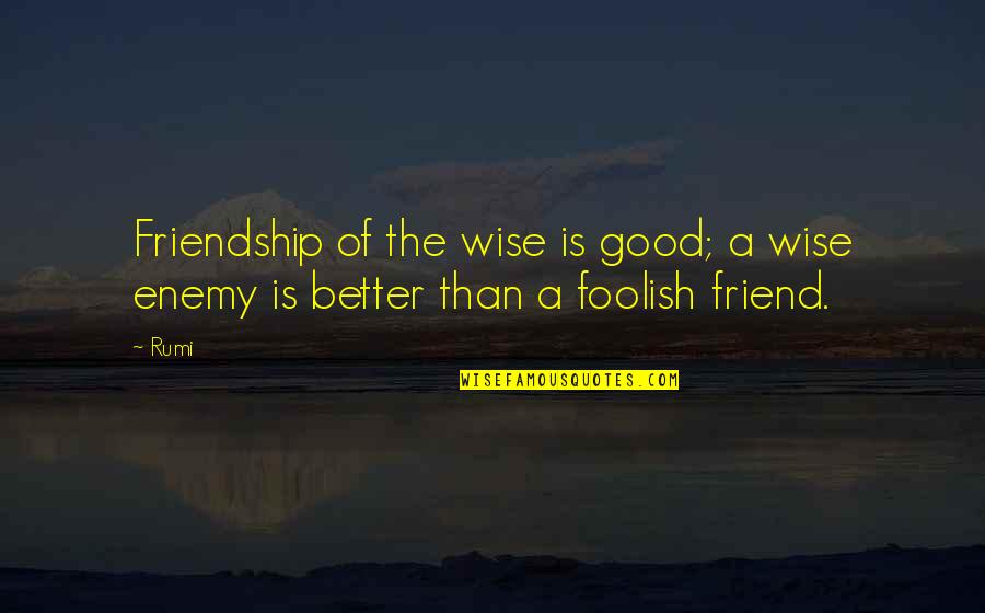 Frth Quotes By Rumi: Friendship of the wise is good; a wise