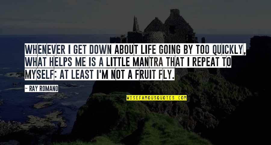 Fruit Fly Quotes By Ray Romano: Whenever I get down about life going by Fruit Fly Quotes By Ray Romano: Whenever I get down about life going by